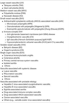 Current State of Precision Medicine in Primary Systemic Vasculitides